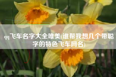 qq飞车名字大全唯美(谁帮我想几个带聪字的特色飞车网名)