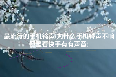 最流行的手机铃声(为什么手机铃声不响但是看快手有有声音)