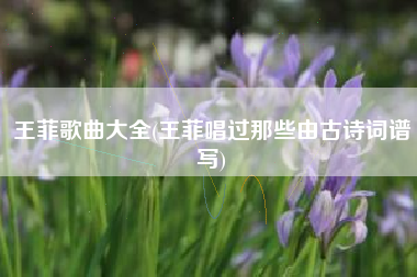 王菲歌曲大全(王菲唱过那些由古诗词谱写)