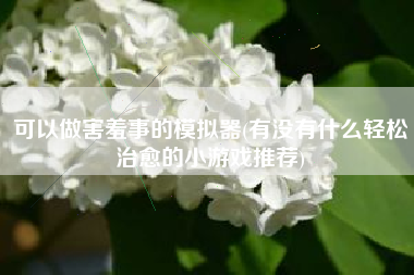 可以做害羞事的模拟器(有没有什么轻松治愈的小游戏推荐)