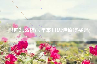 思迪怎么样(07年本田思迪值得买吗)