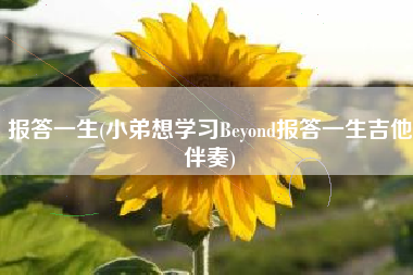 报答一生(小弟想学习Beyond报答一生吉他伴奏)