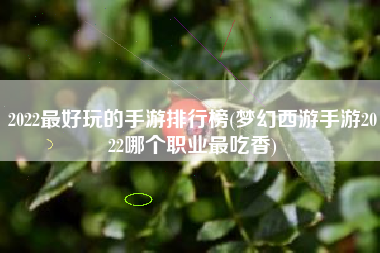 2022最好玩的手游排行榜(梦幻西游手游2022哪个职业最吃香)