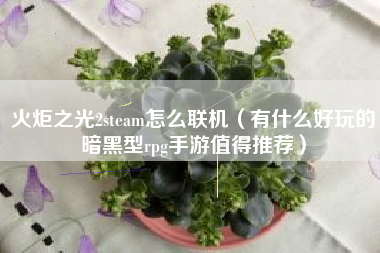 火炬之光2steam怎么联机（有什么好玩的暗黑型rpg手游值得推荐）