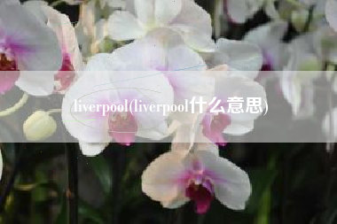 liverpool(liverpool什么意思)