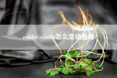 exhibit(exhibit怎么变动名词)