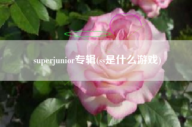 superjunior专辑(ss是什么游戏)