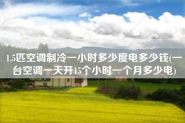 1.5匹空调制冷一小时多少度电多少钱(一台空调一天开15个小时一个月多少电)