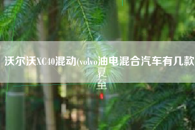 沃尔沃XC40混动(volvo油电混合汽车有几款)