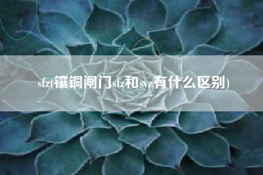 sfz(镶铜闸门sfz和syz有什么区别)