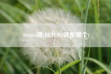 return键(RETURN键是哪个)