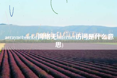 arraynetworks(网络无Internet访问是什么意思)