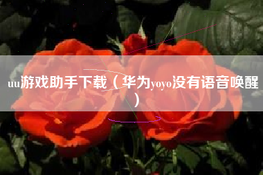 uu游戏助手下载（华为yoyo没有语音唤醒）