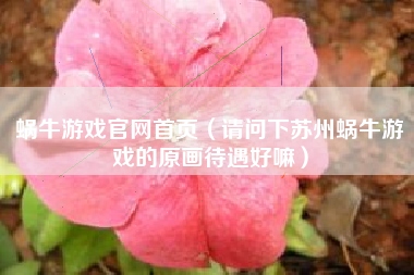 蜗牛游戏官网首页（请问下苏州蜗牛游戏的原画待遇好嘛）