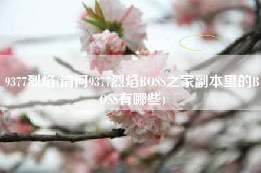 9377烈焰(请问9377烈焰BOSS之家副本里的BOSS有哪些)