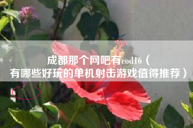 成都那个网吧有cod16（
有哪些好玩的单机射击游戏值得推荐）