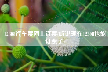 12308汽车票网上订票(听说现在12308也能订票了)