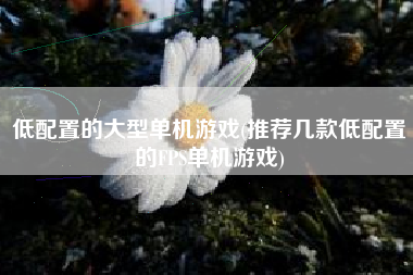 低配置的大型单机游戏(推荐几款低配置的FPS单机游戏)