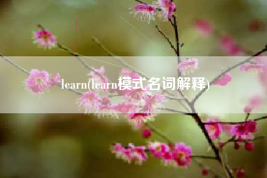 learn(learn模式名词解释)