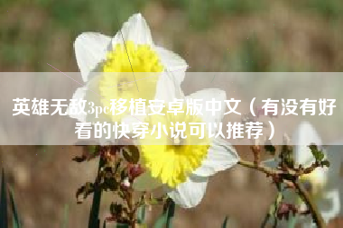 英雄无敌3pc移植安卓版中文（有没有好看的快穿小说可以推荐）