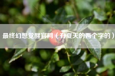 最终幻想觉醒官网（有夏天的两个字的）