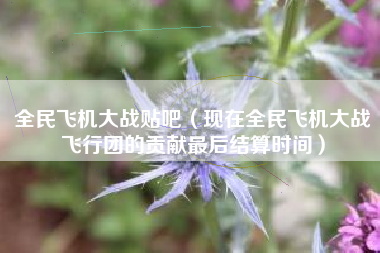 全民飞机大战贴吧（现在全民飞机大战飞行团的贡献最后结算时间）