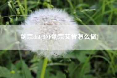 剑宗dnf(DNF剑宗艾肯怎么做)