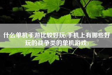 什么单机手游比较好玩(手机上有哪些好玩的战争类的单机游戏)