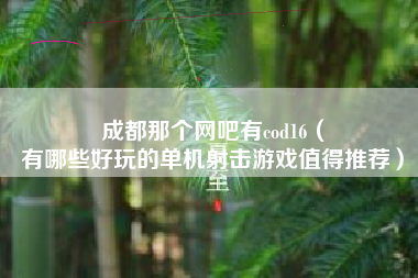 成都那个网吧有cod16（
有哪些好玩的单机射击游戏值得推荐）