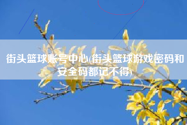 街头篮球账号中心(街头篮球游戏密码和安全码都记不得)