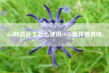 dnf时装补丁怎么使用(DNF插件都有啥)