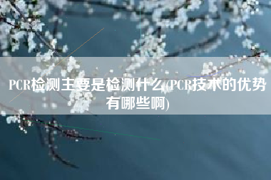 PCR检测主要是检测什么(PCR技术的优势有哪些啊)