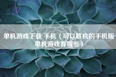 单机游戏下载 手机（可以联机的手机版单机游戏有哪些）