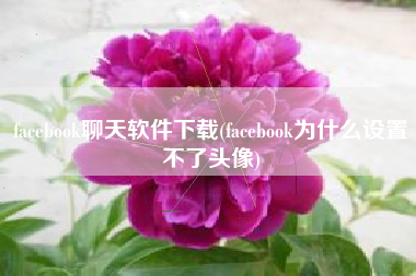 facebook聊天软件下载(facebook为什么设置不了头像)