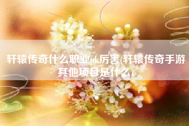 轩辕传奇什么职业pk厉害(轩辕传奇手游其他项目是什么)