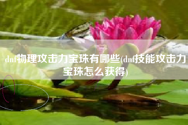 dnf物理攻击力宝珠有哪些(dnf技能攻击力宝珠怎么获得)