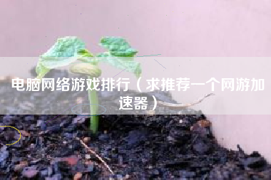 电脑网络游戏排行（求推荐一个网游加速器）