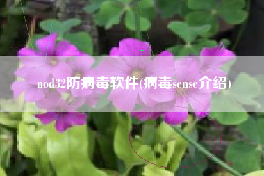 nod32防病毒软件(病毒sense介绍)