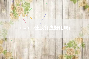 tiny(tiny硅胶餐盘好用吗)