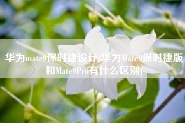 华为mate9保时捷设计(华为Mate9保时捷版和Mate9Pro有什么区别)