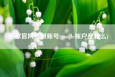 谷歌官网注册账号(google账户是什么)