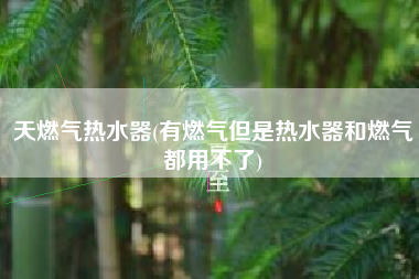 天燃气热水器(有燃气但是热水器和燃气都用不了)