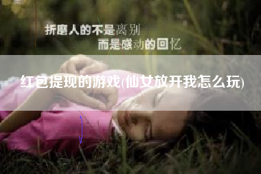 红包提现的游戏(仙女放开我怎么玩)