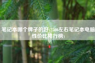 笔记本哪个牌子的好(2500左右笔记本电脑性价比排行榜)