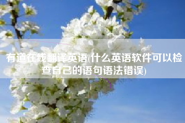 有道在线翻译英语(什么英语软件可以检查自己的语句语法错误)