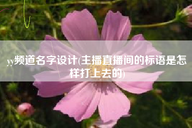 yy频道名字设计(主播直播间的标语是怎样打上去的)