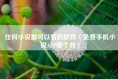 任何小说都可以看的软件（免费手机小说APP那个好）