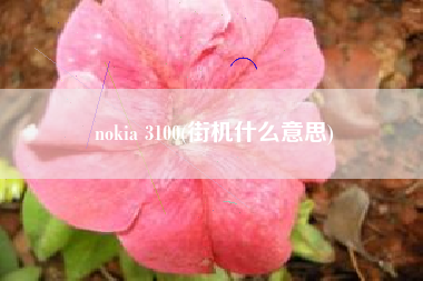 nokia 3100(街机什么意思)