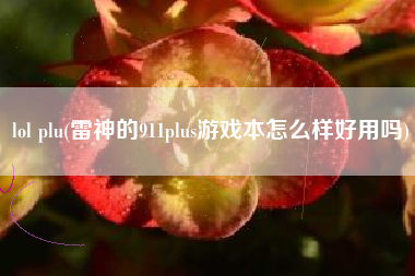 lol plu(雷神的911plus游戏本怎么样好用吗)