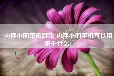 内存小的单机游戏(内存小的手机可以用来干什么)